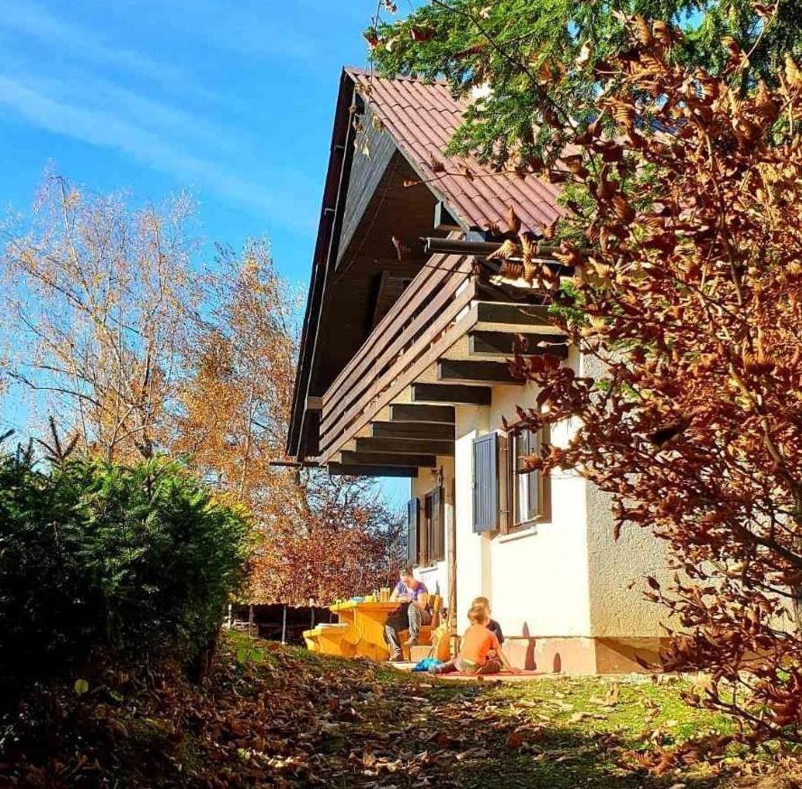 Pet & Family Friendly House Viktorija - House Near Golica With Triglav View Villa Йесенице Екстериор снимка