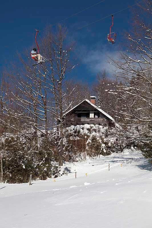 Pet & Family Friendly House Viktorija - House Near Golica With Triglav View Villa Йесенице Екстериор снимка