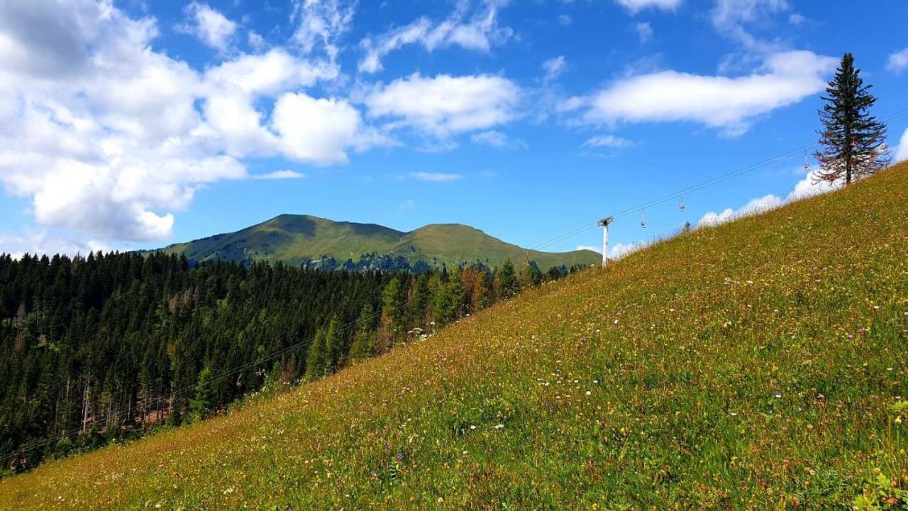 Pet & Family Friendly House Viktorija - House Near Golica With Triglav View Villa Йесенице Екстериор снимка