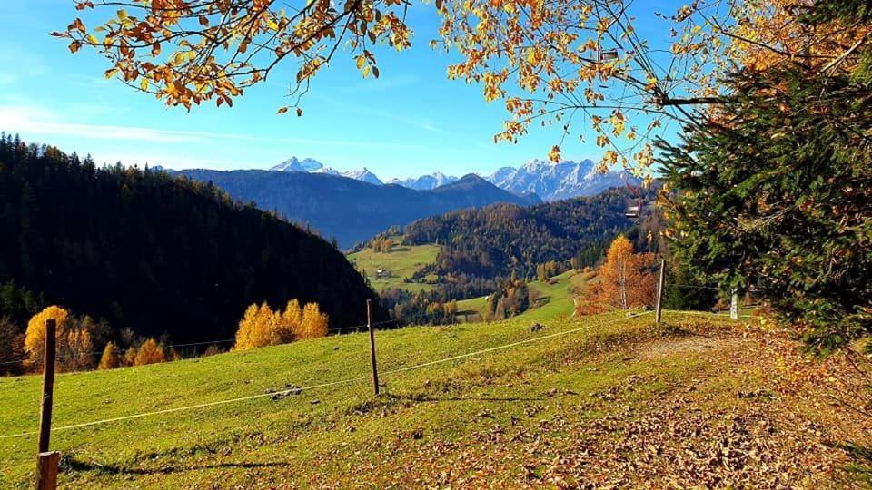 Pet & Family Friendly House Viktorija - House Near Golica With Triglav View Villa Йесенице Екстериор снимка