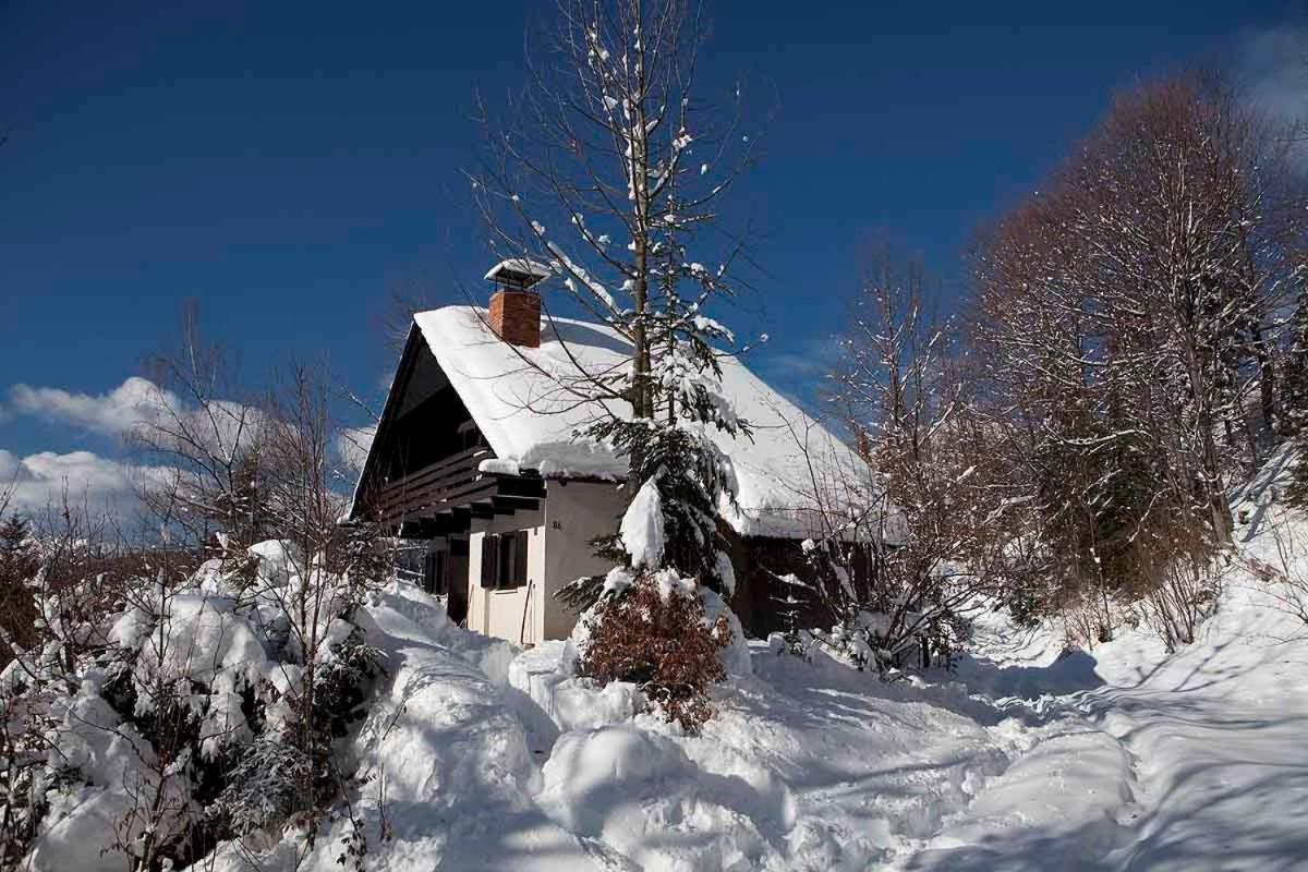 Pet & Family Friendly House Viktorija - House Near Golica With Triglav View Villa Йесенице Екстериор снимка